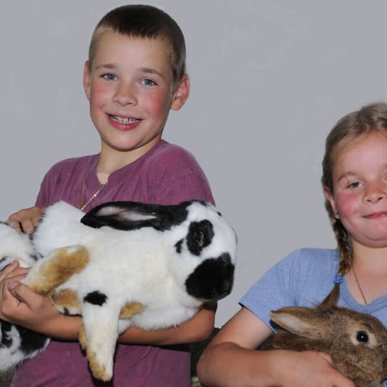 Bauernhofurlaub mit Kindern in Südtirol