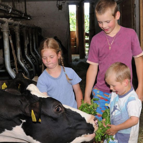 Vacanze in agriturismo con bambini in Alto Adige