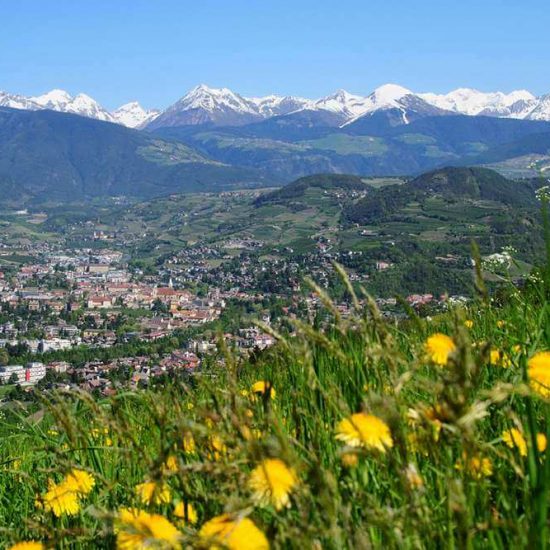 Kasparnellhof Brixen Südtirol