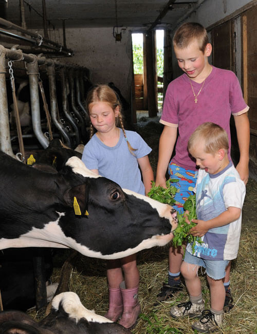 vacanze-bambini-in-fattoria