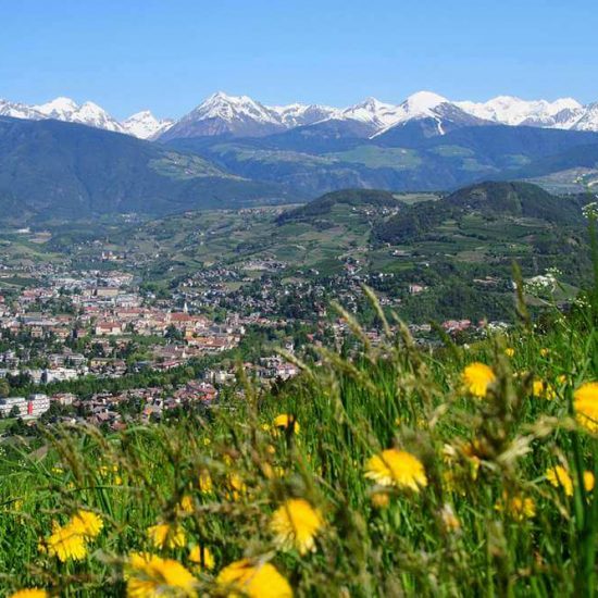 Urlaub auf dem Bauernhof Brixen