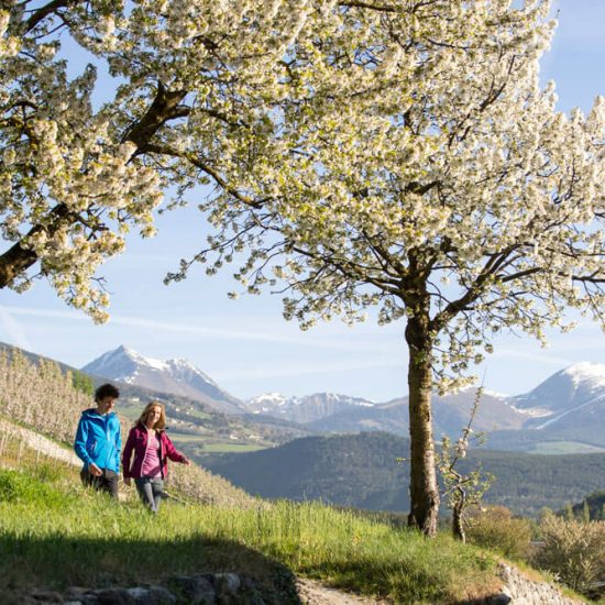 Urlaub Brixen Plose