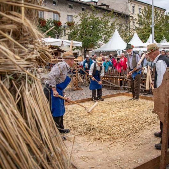 Urlaub Brixen Plose Südtirol